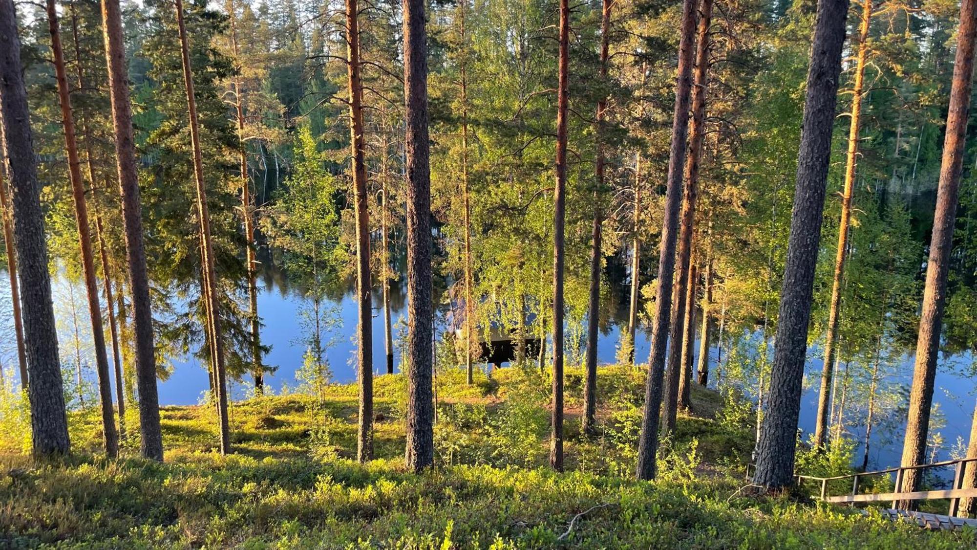 Ahvenlampi Camping Сааріярві Екстер'єр фото