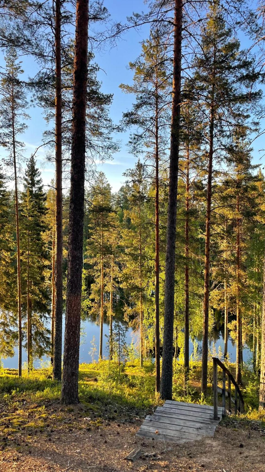Ahvenlampi Camping Сааріярві Екстер'єр фото