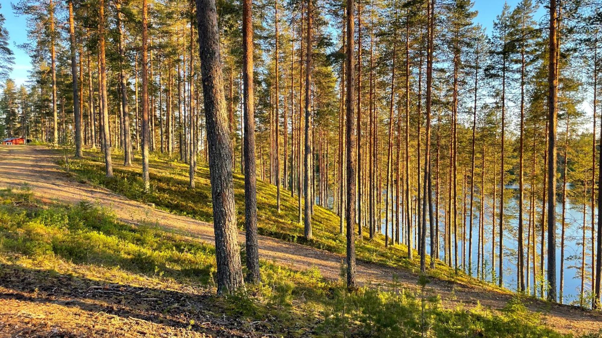 Ahvenlampi Camping Сааріярві Екстер'єр фото