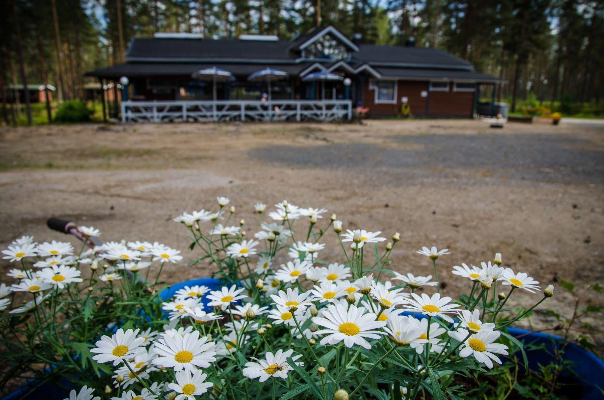 Ahvenlampi Camping Сааріярві Екстер'єр фото