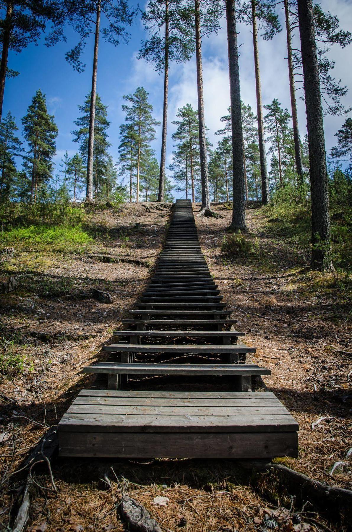 Ahvenlampi Camping Сааріярві Екстер'єр фото